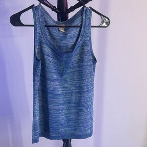 Metallic Blue and Metallic Green Sleeveless Knit Top